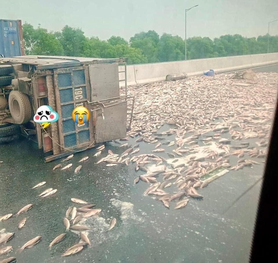 Toàn cảnh xe tải chở hàng tấn cá lật trên cao tốc