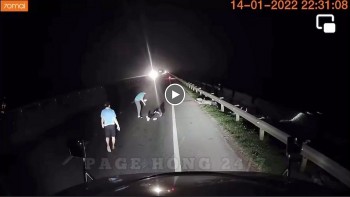 Chạy xe trong đêm, tài xế phát hoảng khi thấy người nằm bất động giữa đường