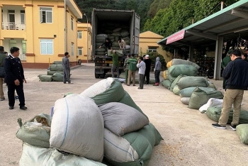 Vụ buôn lậu 5.000 tấn thuốc bắc: Tách điều tra riêng vụ hối lộ lãnh đạo Hải quan