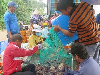 Thủ tướng Phạm Minh Chính: Chuyển nông nghiệp sản lượng cao sang nông nghiệp công nghệ cao, sinh thái