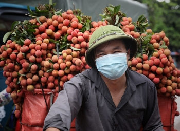 Gỡ nút thắt cho doanh nghiệp để phục hồi đà tăng trưởng