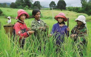 Lập Hội đồng thẩm định Nhà nước thẩm định Báo cáo nghiên cứu khả thi Chương trình mục tiêu quốc gia Giảm nghèo bền vững giai đoạn 2021-2025