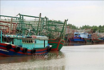 Hải Phòng đưa hơn 2.000 tàu thuyền vào nơi tránh trú an toàn