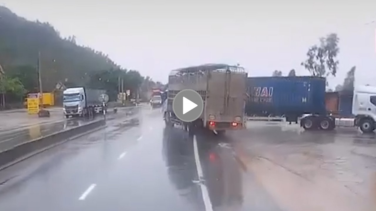 Những lần xe chở động vật bị lật trên đường Heo vịt chạy tán loạn   Netizen  Việt Giải Trí