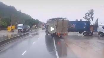 Xe tải chở heo suýt tông phải xe đầu kéo qua đường