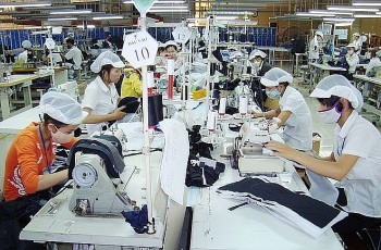 Tháng 10: Số doanh nghiệp quay trở lại hoạt động tăng gần 30%