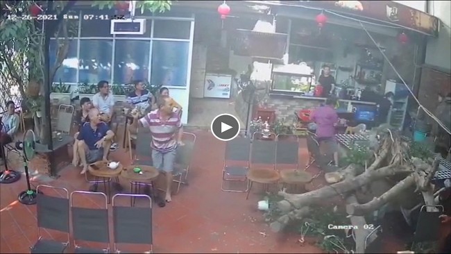 Người đàn ông may mắn thoát nạn khi gốc cây bất ngờ đổ sập