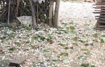 hon 5000 ngoi nha mat tet do mua da