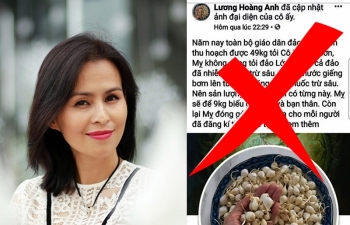luong hoang anh tiep tuc vang mat khi so tt tt moi lam viec do dua tin that thiet ve toi ly son