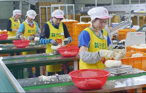 lao dong viet nam lam viec o nuoc ngoai mat viec vi covid 19 se duoc ho tro gi