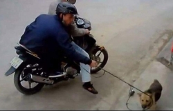 truy duoi cau tac nguoi dan ong lao xuong ao tu vong