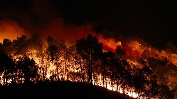 Rừng thông ở Hà Tĩnh lại bùng cháy dữ dội, người dân sơ tán trong đêm