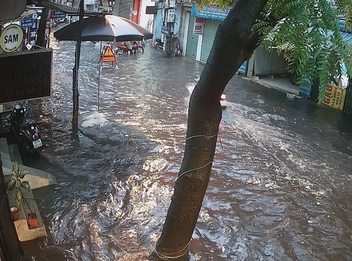 mua dong du doi quat nga nhieu cay xanh ha noi lai ngap