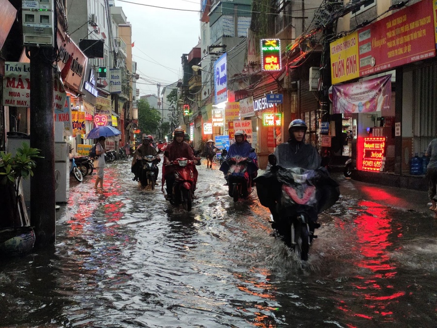 mua dong du doi quat nga nhieu cay xanh ha noi lai ngap