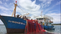 Nhiều ngư dân đóng tàu vỏ thép có nguy cơ bị ngân hàng kiện
