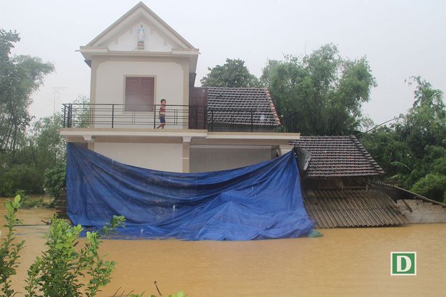 am anh nhung ngoi lang chim sau trong bien nuoc