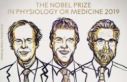 Giải Nobel Y học 2019: Mở đường cho chiến lược chống ung thư