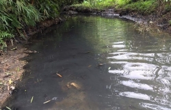 Truy bắt nghi phạm thứ 3 đổ trộm dầu thải vào nguồn "nước sông Đà"