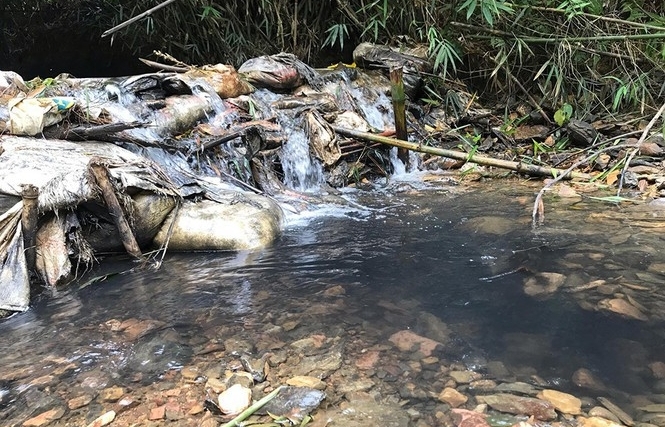 Hai nghi phạm đổ dầu thải vào nguồn "nước sông Đà" khai gì?