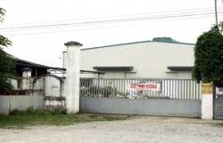 13500 doanh nghiep giai the trong 10 thang dau nam 2019