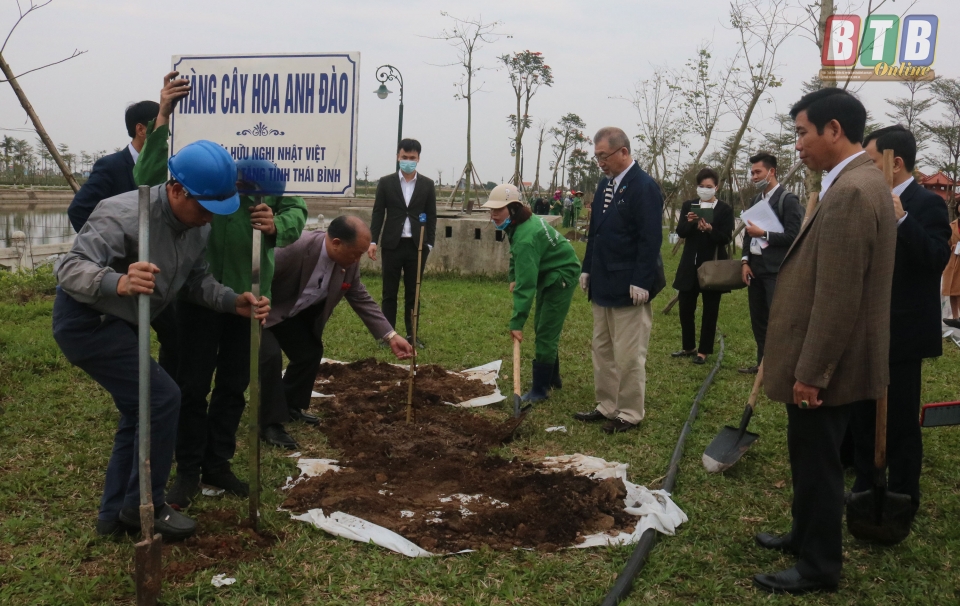Hội hữu nghị Nhật - Việt tỉnh Miyagi tặng 60 cây hoa anh đào cho tỉnh Thái Bình