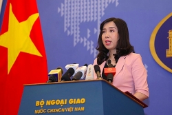 Việt Nam thực hiện các biện pháp bảo hộ cao nhất cho Đoàn Thị Hương