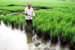 bac lieu to chuc lai san xuat nong nghiep phu hop bien doi khi hau