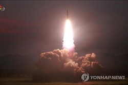 Triều Tiên tiếp tục phóng tên lửa phản đối tập trận chung Mỹ - Hàn