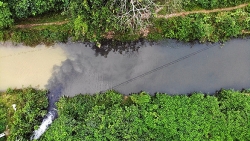 Vụ ô nhiễm nước sông Đà: Thủ tướng không hài lòng khi thông tin bị che đậy