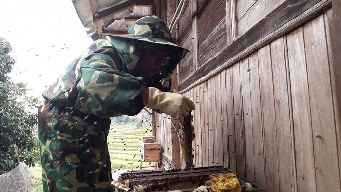 4011-9ac7e102d9273d796436