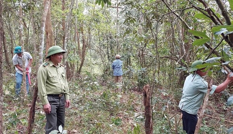 Kiểm lâm Điện Biên Đông (Điện Biên) tăng cường bảo vệ và phát triển vốn rừng