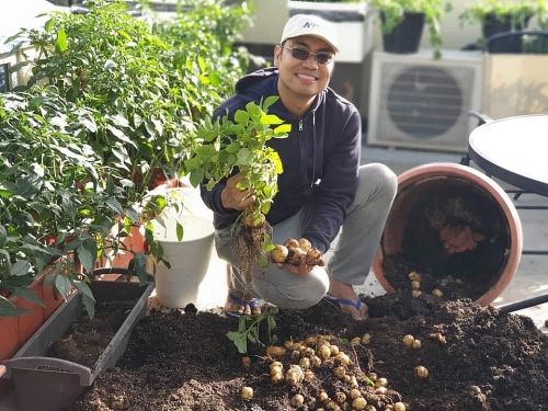 "Nông trại" xanh ngập tràn rau quả sạch trên sân thượng của gia đình 4 thành viên