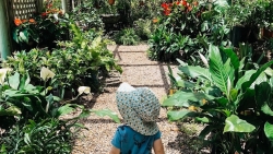 Mẹ trẻ dạy con tình yêu cuộc sống bằng cách cùng nhau trồng cả vườn rau quả xanh tươi ở ngoại ô