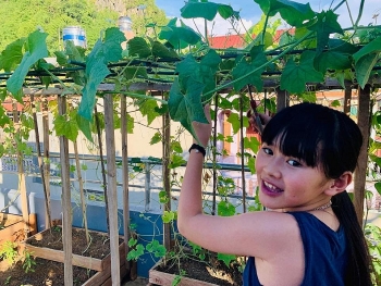 Sơn La: Vườn rau đủ loại xanh tốt trên sân thượng 50m2 của gia đình 4 người