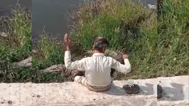 Video: Người đàn ông say rượu "hồn nhiên" trò chuyện với cá sấu