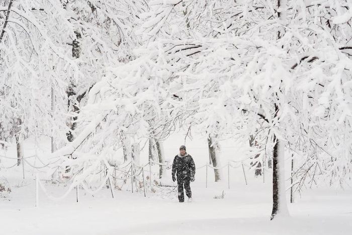 Thủ đô Washington bị 'nhấn chìm' trong bão tuyết