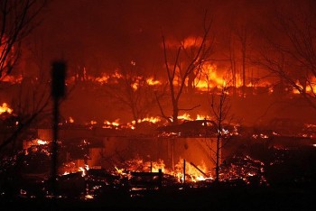 Cháy rừng ở California: 430.000 dân phải sơ tán