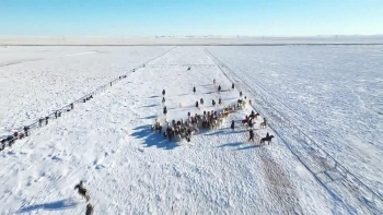 video man nhan voi canh ngua hoang phi nuoc dai luc hoang hon