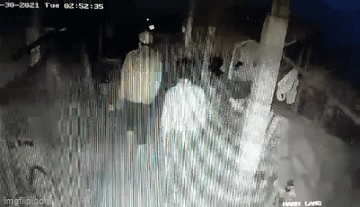 video trom dot nhap nha dan lay cap 4 con chim canh bac ty