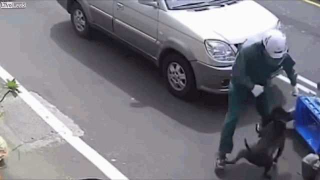 Video: Đang chạy xe máy, nam thanh niên bị chó pitbull tấn công điên cuồng