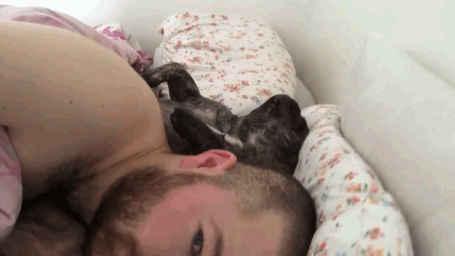 video chu mat ngu vi cho cung ngay qua to