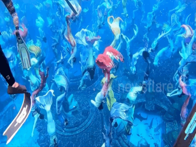 Video: Ngoạn mục cảnh 110 "nàng tiên cá" cùng biểu diễn dưới nước