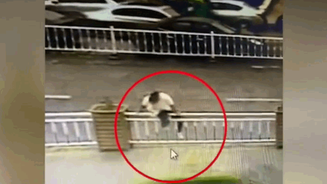 Video: Liều lĩnh trèo qua rào chắn, người phụ nữ bất ngờ kẹt đầu vào chấn song