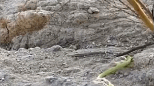 video bi ban dut doi than ho mang van ngoc dau thao chay