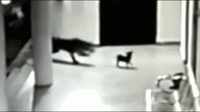 video cho me lao ra tu chien gianh lai con tu mieng bao