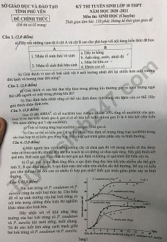 Đề thi môn Toán tuyển sinh lớp 10 vào THPT Chuyên Phú Yên