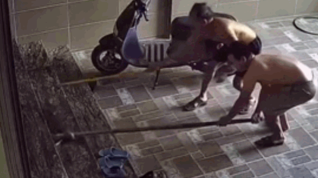 Video: Rắn bò vào nhà, điên cuồng tấn công người