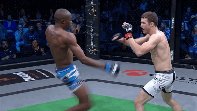 Video: Võ sĩ MMA tung cước như chớp, nhanh chóng hạ đo ván đối thủ