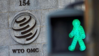 164 thanh vien wto hoan tat vong mot tham van bi mat de chon tan tong giam doc