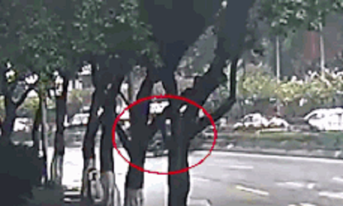 Camera giao thông: Bị ô tô đâm, người đi xe máy thoát chết hy hữu nhờ đội mũ bảo hiểm